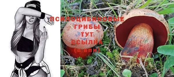 мяу мяу мука Абаза