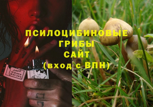 стафф Абдулино