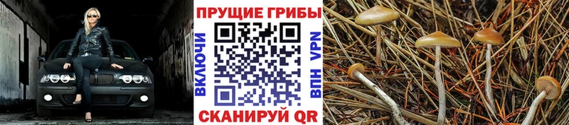 Псилоцибиновые грибы MAGIC MUSHROOMS  Урень 